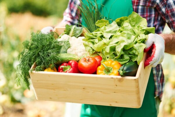 De ce este important să consumăm alimente bio?