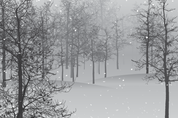 Prognoza meteo, 14 decembrie. Zonele cu cele mai scăzute temperaturi