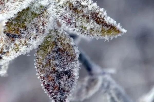 Prognoza meteo, 10 decembrie 2023. Regiunile lovite de îngheț