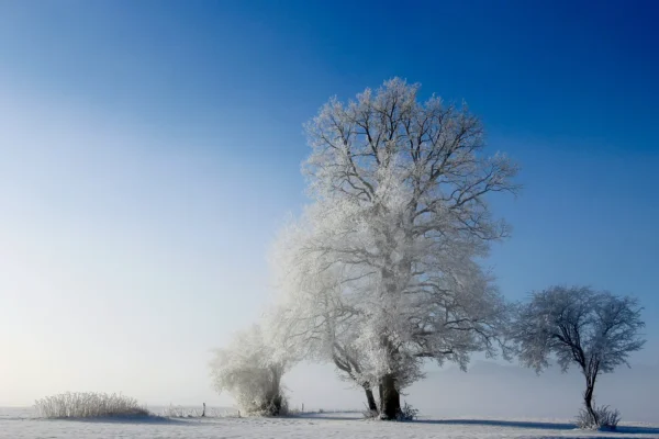 Prognoza meteo, 9 ianuarie. Zi geroasă, ninsori, vânt puternic şi viscol. Unde vor fi -18 grade