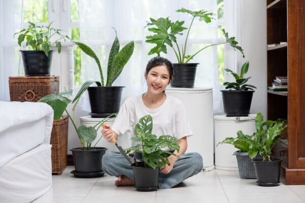 Cum să aduci natura în casă: Idei de design interior cu plante