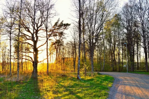 Prognoza meteo 13 mai 2024. Temperaturi mai scăzute decât în normal pentru această perioadă