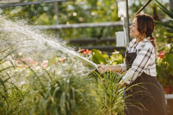 Alege sistemul de irigare perfect pentru grădina ta: Ghid comparativ și sfaturi practice
