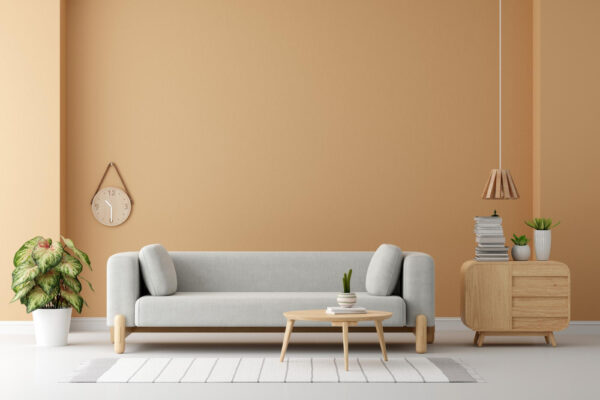 Idei moderne pentru living elegant