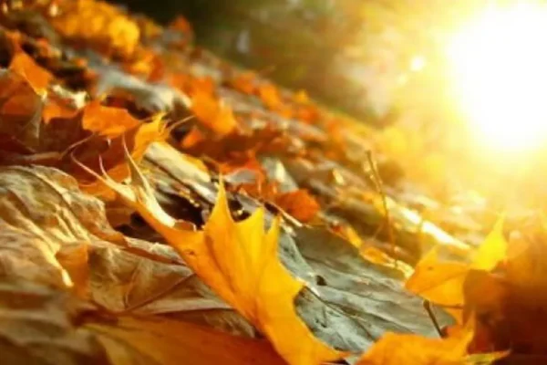 Prognoza meteo pe două săptămâni. Oază de vară în septembrie, dar toamna vine cu promoroacă, brumă şi ploi de săptămâna viitoare