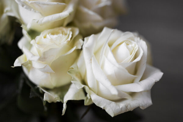 Servicii funerare complete pentru fiecare buget