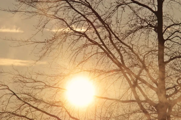 Prognoza meteo, 2 februarie. Zonele în care revine iarna