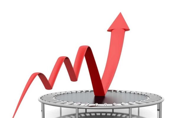 Acţiunile BYD au scăzut luni cu peste 8%