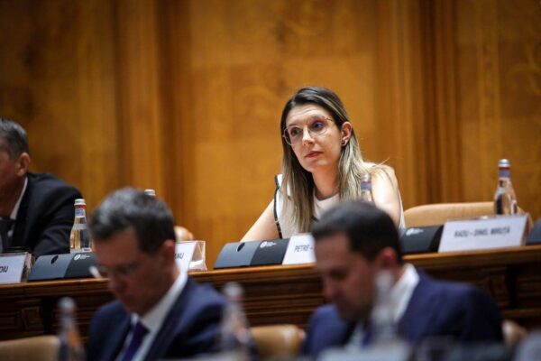 Diana Buzoianu anunță reorganizarea Romsilva: 12 direcții silvice și 10% directori păstrați