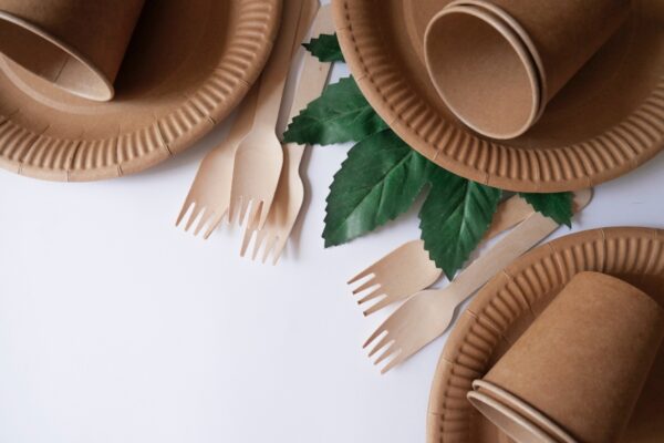 Farfurii din carton, plastic sau trestie de zahăr? Ghid pentru distribuitori