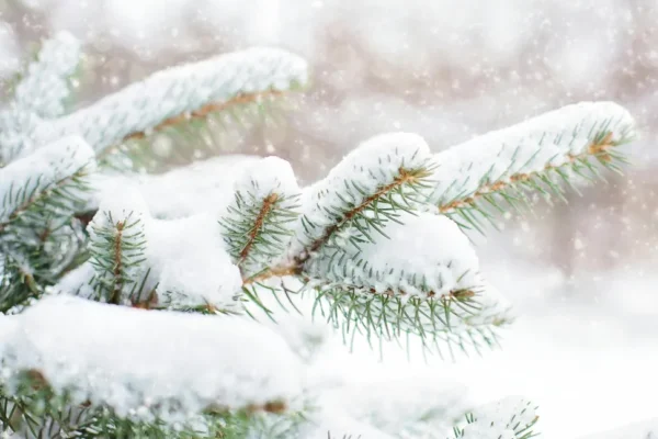 Vine iarnă grea, s-a anunţat când ninge şi la Bucureşti. Climatologii au descoperit anomalii ale vortexului polar